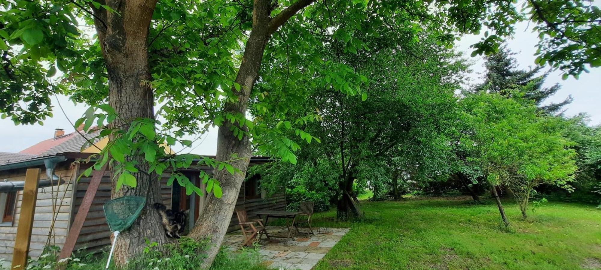 Ferienhaus Luna Villa Drahnsdorf Buitenkant foto