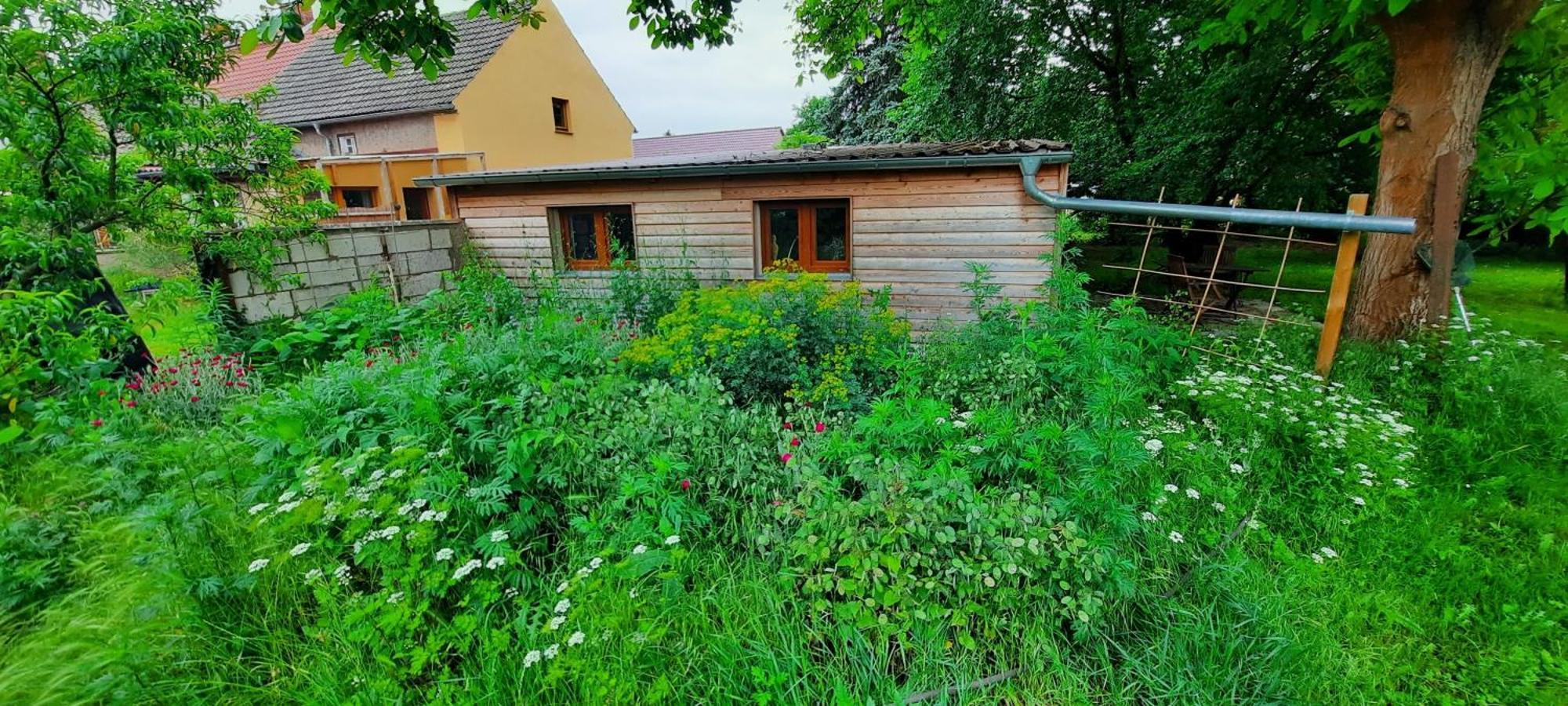 Ferienhaus Luna Villa Drahnsdorf Buitenkant foto