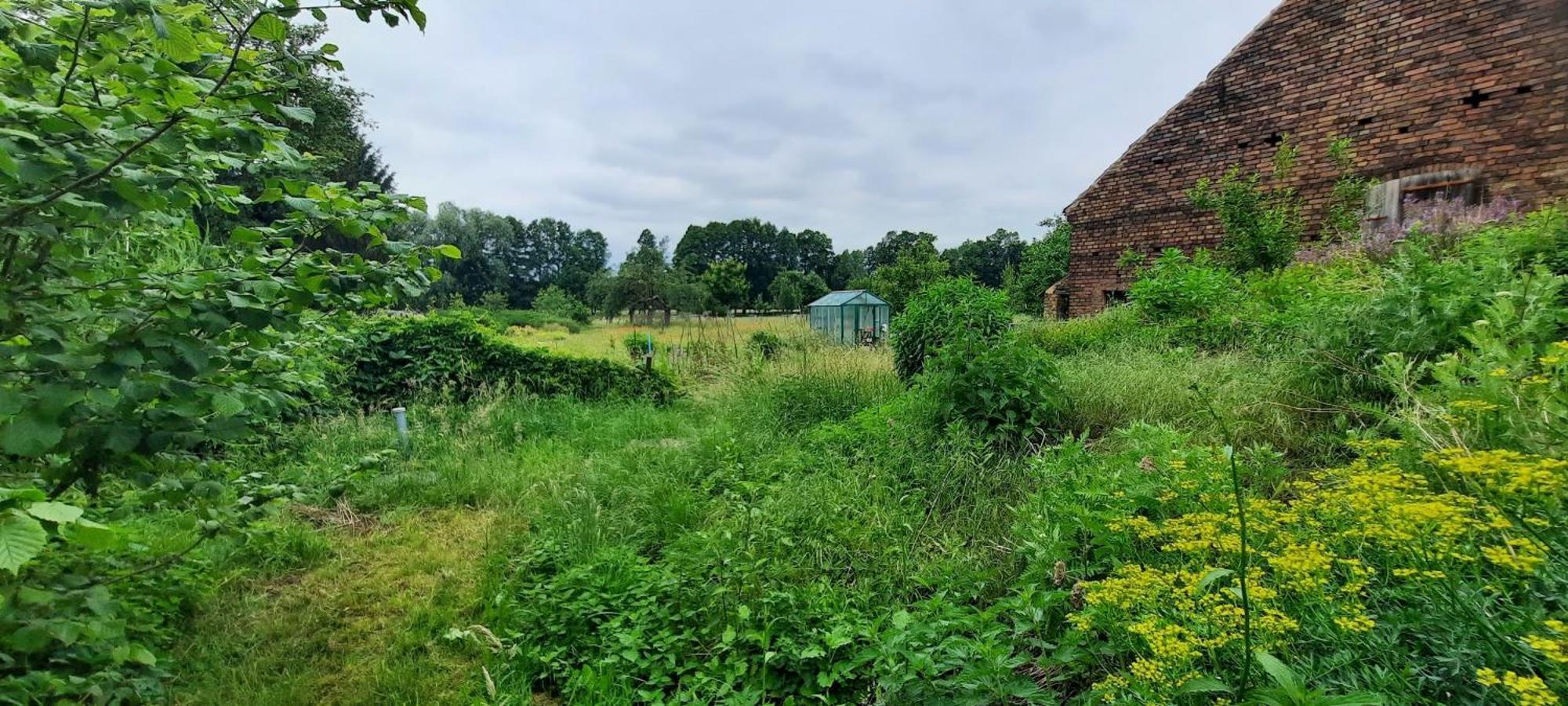 Ferienhaus Luna Villa Drahnsdorf Buitenkant foto